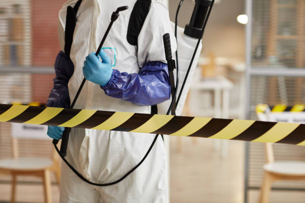 Professional Sewage Cleanup technician working in Sacramento, CA